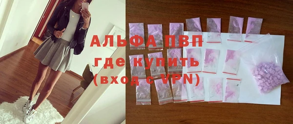 гидра Карпинск