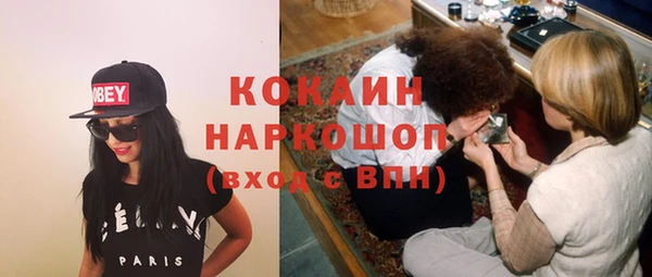 гидра Карпинск