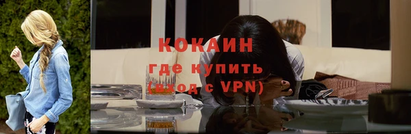 гидра Карпинск