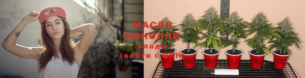 гидра Карпинск