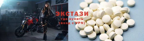 гидра Карпинск