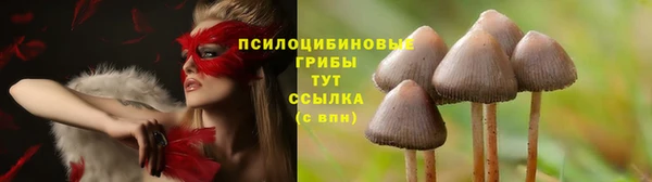 марки lsd Карталы