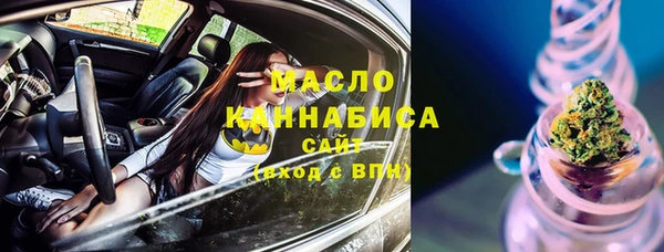 гидра Карпинск