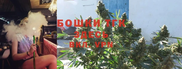 гидра Карпинск