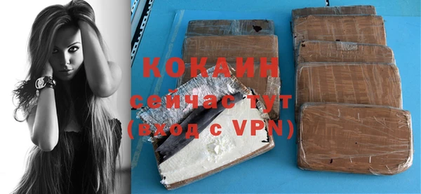 гидра Карпинск