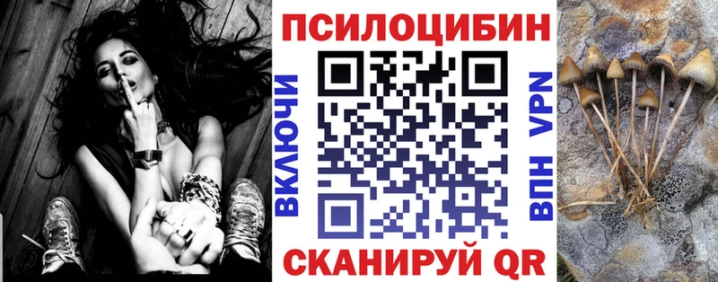 Купить закладки  Апшеронск  Галлюциногенные грибы MAGIC MUSHROOMS 
